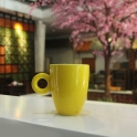 cốc cà phê quai tròn men vàng