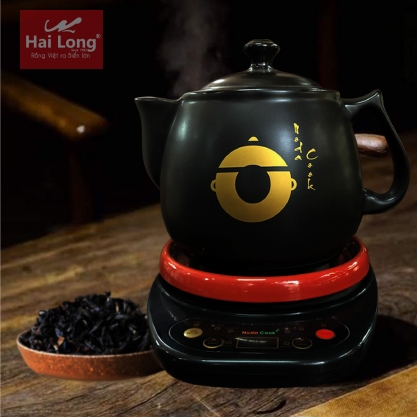 Ấm sắc thuốc điện tự động 4 lít 