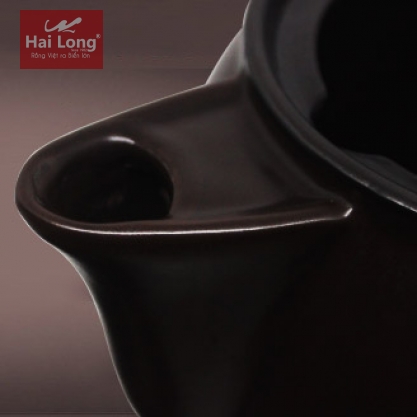 Ấm sắc thuốc điện tự động 4 lít 